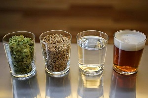 Ингредиенты для варки пива дома